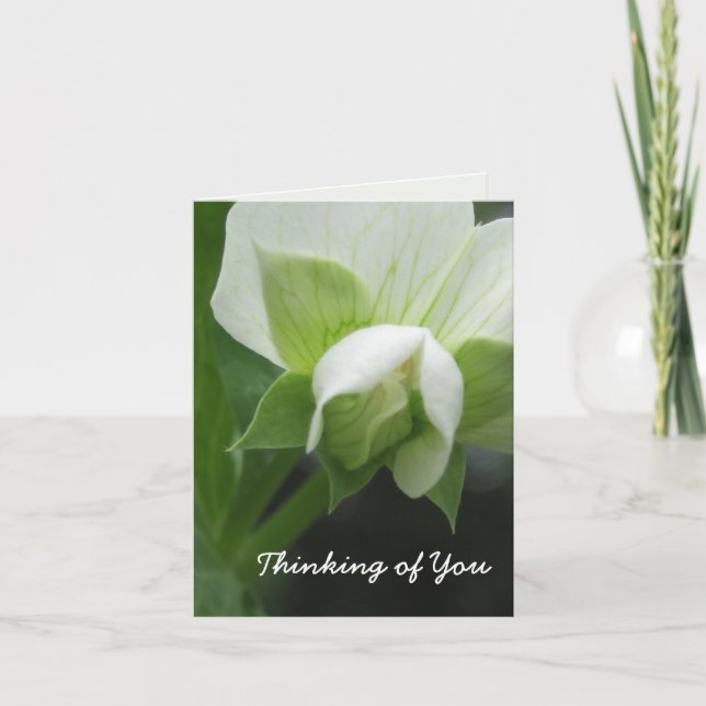 Hidden Peas Customizable Template Note Card (Front)