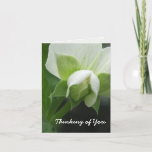Hidden Peas Customizable Template Note Card