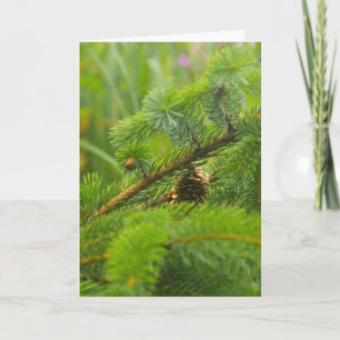 Hidden Pine Cone Greeting Card