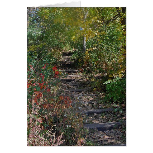 Hidden Stairway (Front)