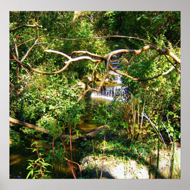 Hidden Waterfall Poster (Front)