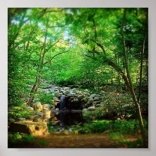 Hidden Waterfall Poster