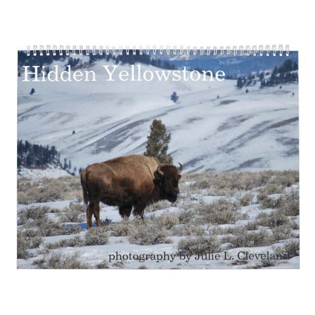 Hidden Yellowstone National Park Calendar (Cover)