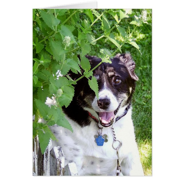 Hide And Seek (Front)