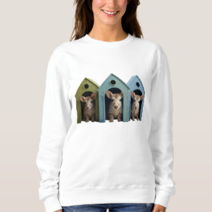 Hide-and-Seek Animals Sweatshirt