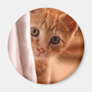 Hide-and-Seek Kitty refrigerator magnet
