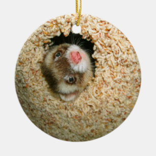 Hide-and-Seek Pauley Ornament