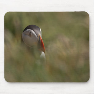 Hide and Seek Puffin Mouse Pad