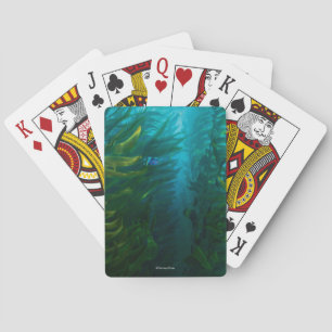 Hide and Seek - Sea Kelp Playing Cards
