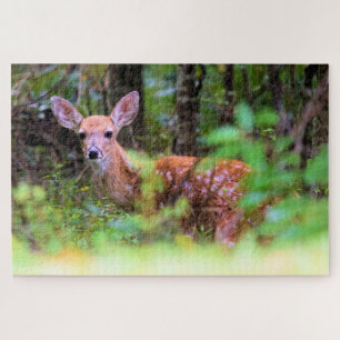 Hide and Seek With a Spotted Fawn - 20x30 inch Jigsaw Puzzle