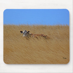 hide & seek mouse pad