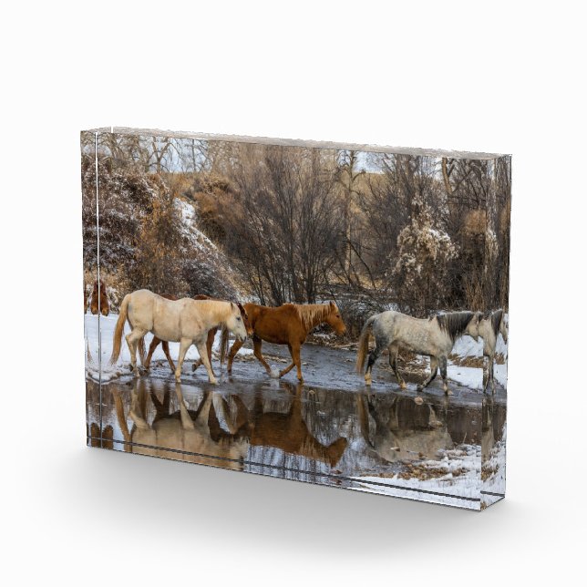 Hideout Horse Ranch Photo Block (Right)