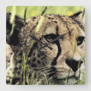 Hiding Cheetah Square Wall Clock