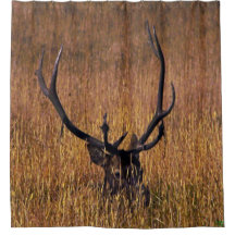 Hiding Elk Shower Curtian