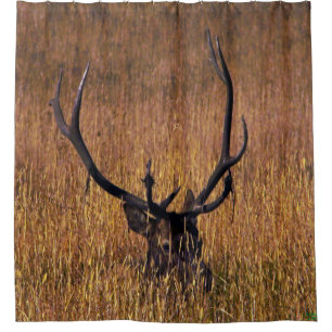Hiding Elk Shower Curtian