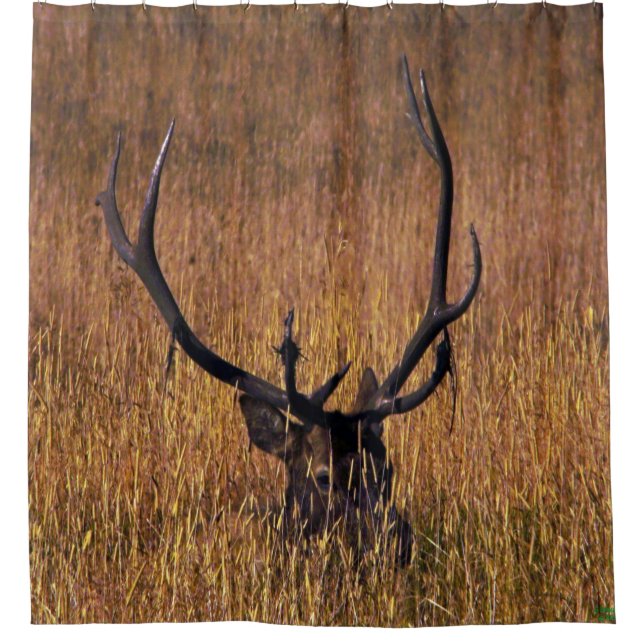 Hiding Elk Shower Curtian (Front)