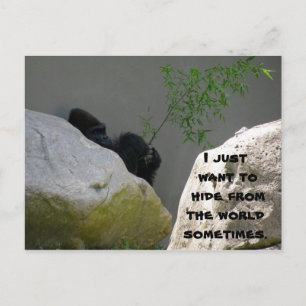 HIDING FROM THE WORLD POSTCARD