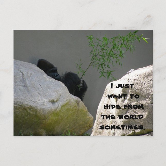 HIDING FROM THE WORLD POSTCARD (Front)