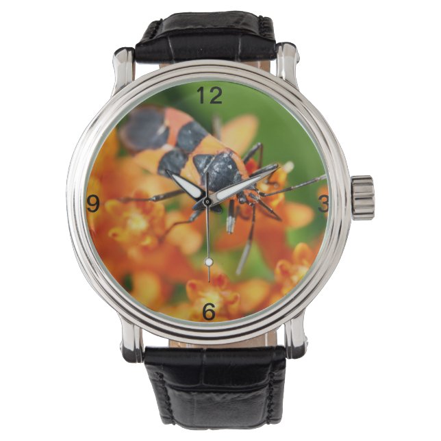 Hiding in plain sight watch (Front)