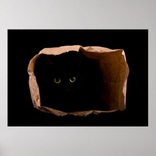 Hiding in Shadows Poster