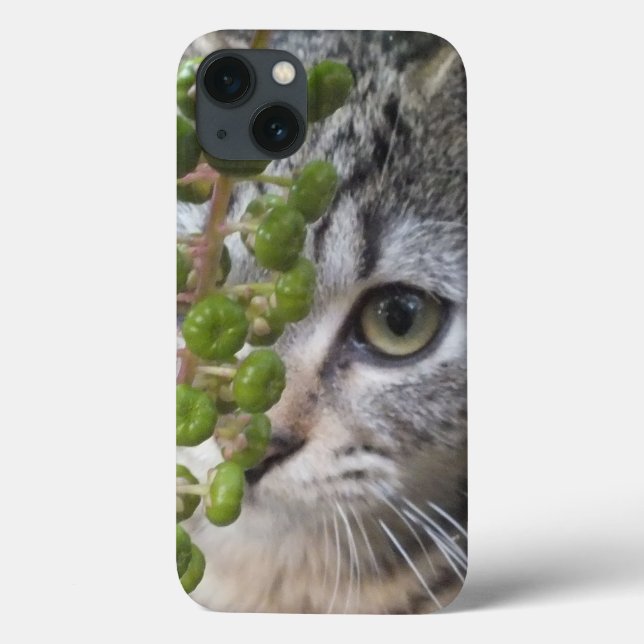Hiding Kitten EYE-Phone iPad Air Case (Back)