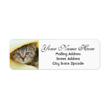 Hiding Kitten Return Address