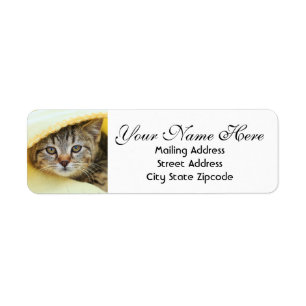 Hiding Kitten Return Address