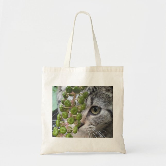 Hiding Kitten Tote Bag (Front)