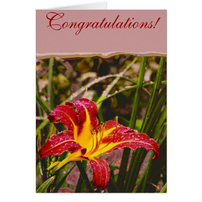 Hier Lily Après La Pluie (Devant)