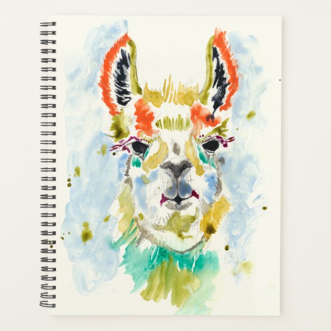 Hifi Llama - Portrait (Devant)