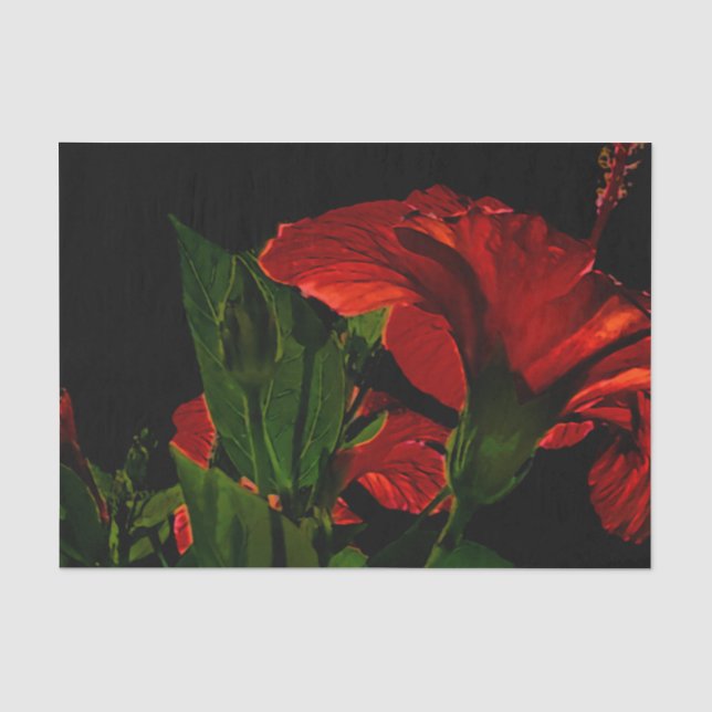 High Contrast Hibiscus Flower Photo Illustration Tissue Paper (Front)