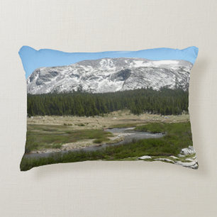 High Country Mountain Stream I Decorative Pillow