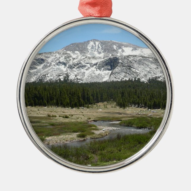 High Country Mountain Stream I Metal Ornament (Front)