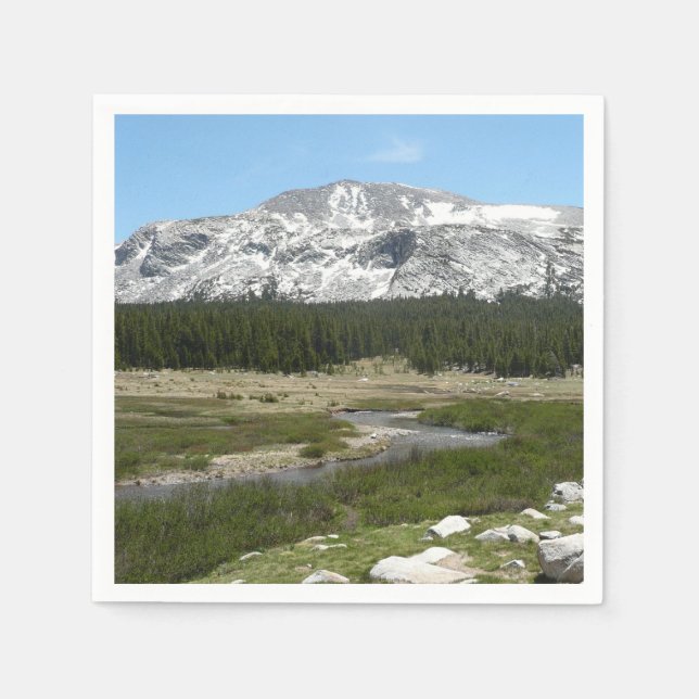 High Country Mountain Stream I Napkin (Front)