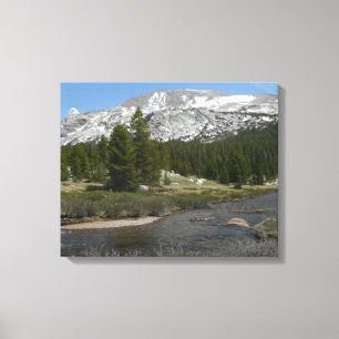 High Country Mountain Stream II at Yosemite Canvas Print