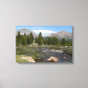 High Country Mountain Stream III at Yosemite Canvas Print