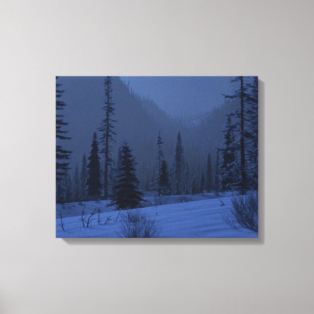 High Country (Winter/Night) Canvas Print (Front)