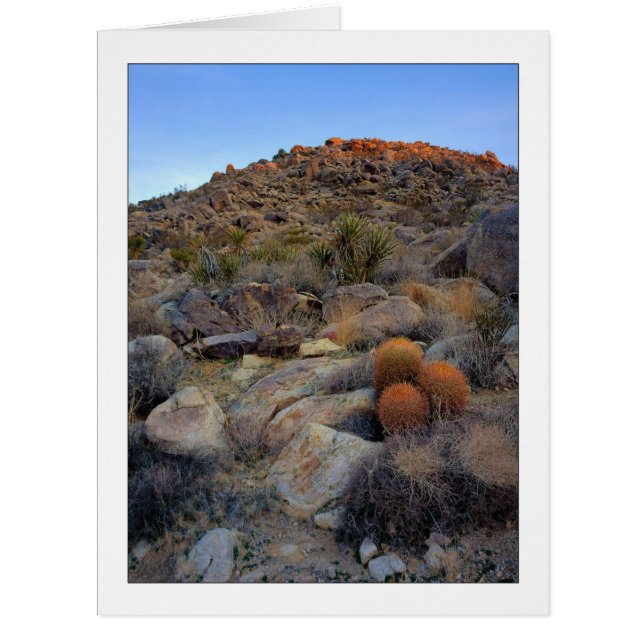 "High Desert Garden" (Devant)
