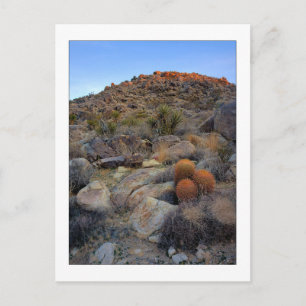 "High Desert Garden" Postcard