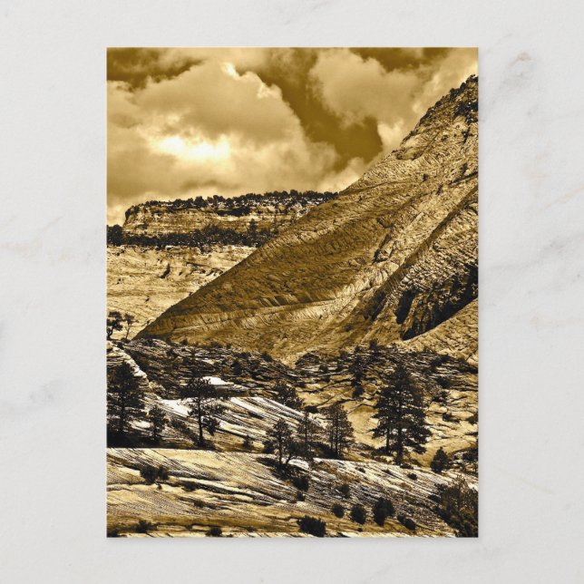 HIGH DESERT LANDSCAPE IN ANTIQUE SEPIA POSTCARD (Front)