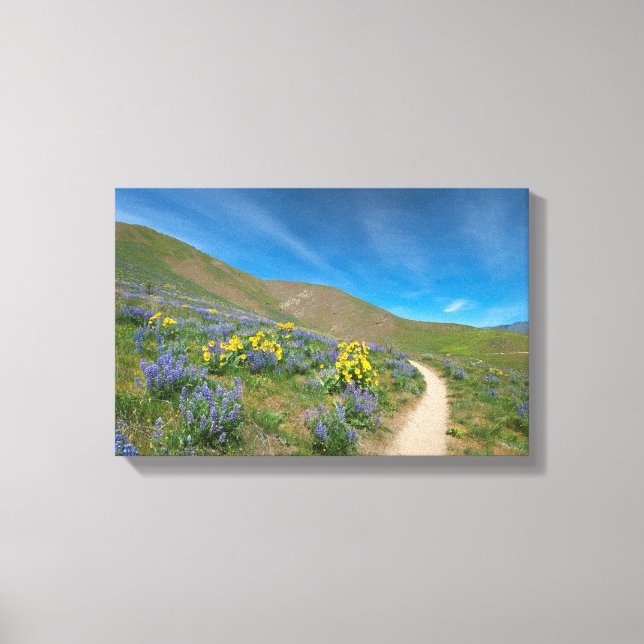 High Desert Spring Bloom Canvas Print (Front)