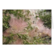 High Desert Wildflowers Card