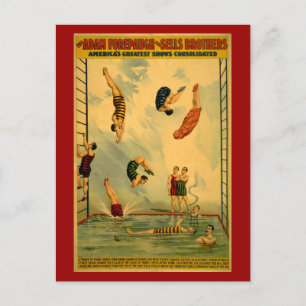 High Dive / Diving Circus Poster Postcard