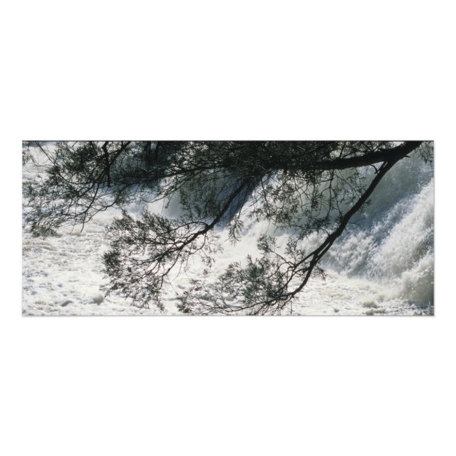 High Falls Park, Georgia Photo Print (Front)