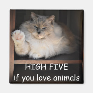 HIGH FIVE if you love animals, Magnet