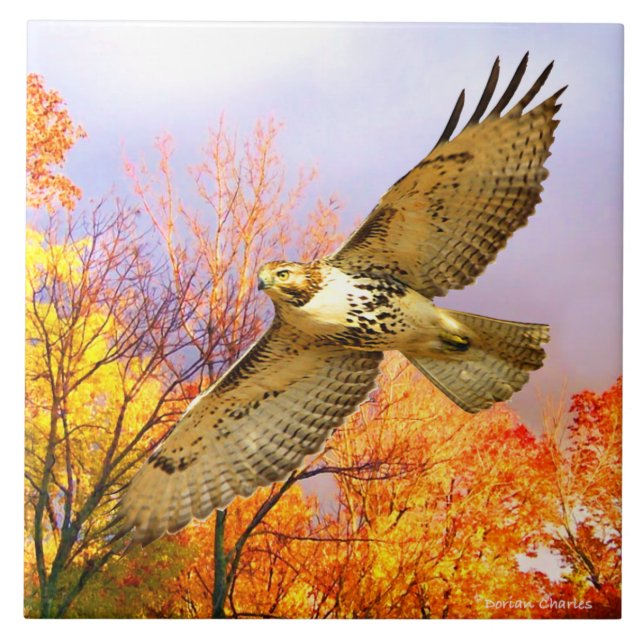 "High Flyer" Decorative Tile (Front)