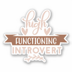High Functioning Introvert