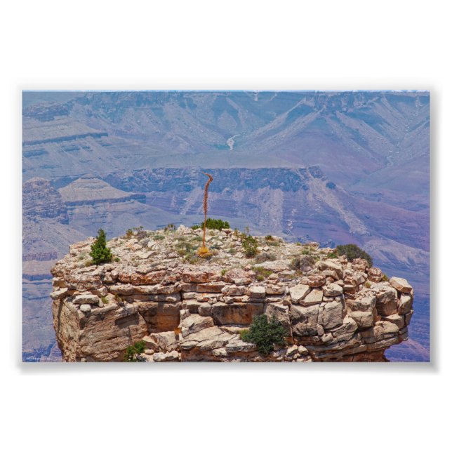 High Garden Photo Print (Front)