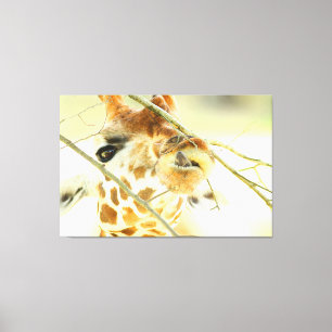 HIGH HOPE 40x60 Canvas Print
