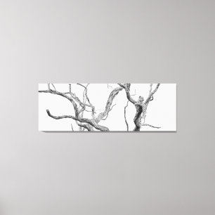 High key Leopard: Inkanyeni Female Canvas Print